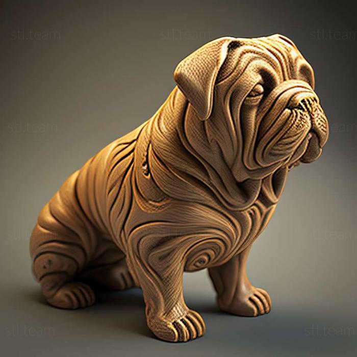 Animals Dicrurus sharpei